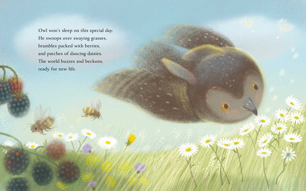 Kids Summer Solstice Picture Book – Summer Solstice Story – Woodland Nature Tale