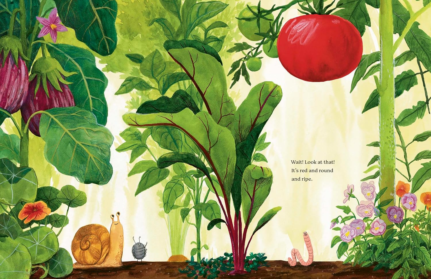 Illustration of a garden scene with plants, a snail, and a tomato.