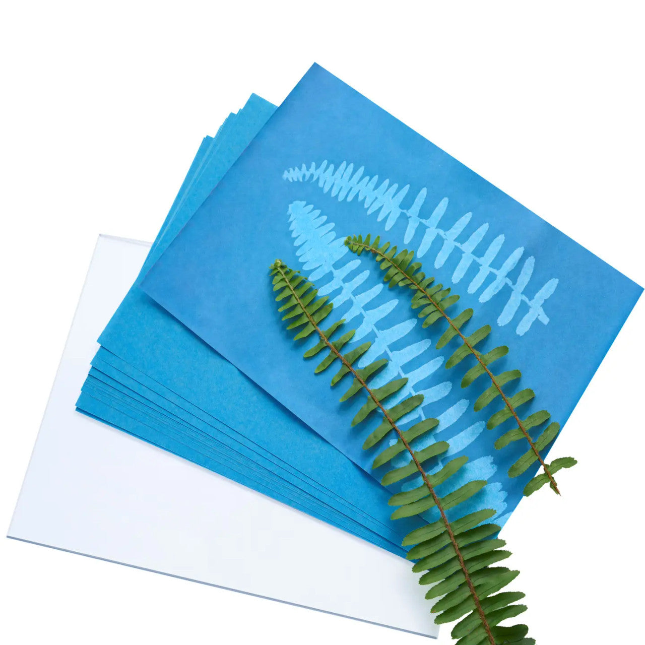 Herschel Solar Print 12" Kit - 15 sheets | ODSS Nature Toys