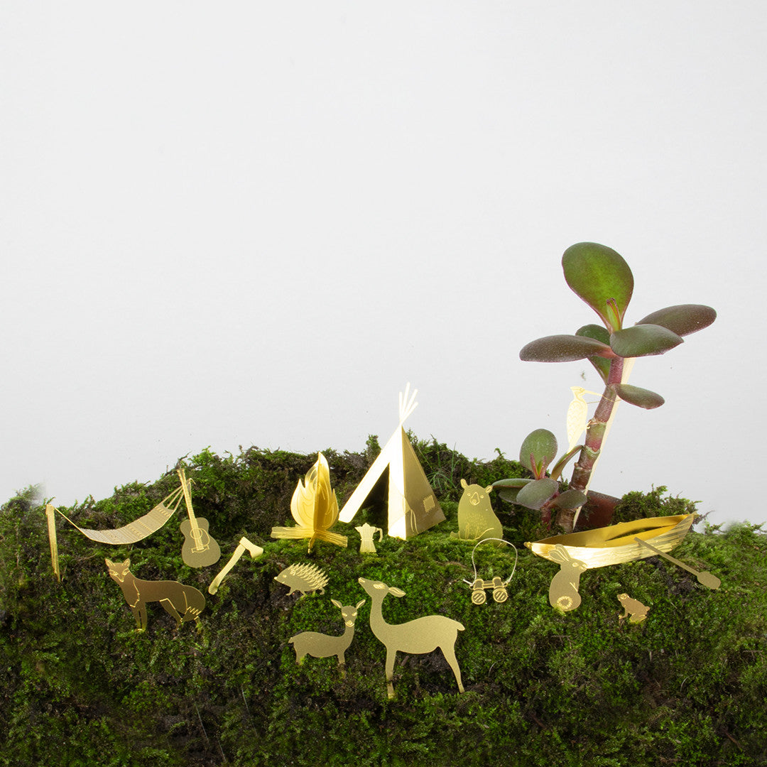 Tiny Camping for your Plant