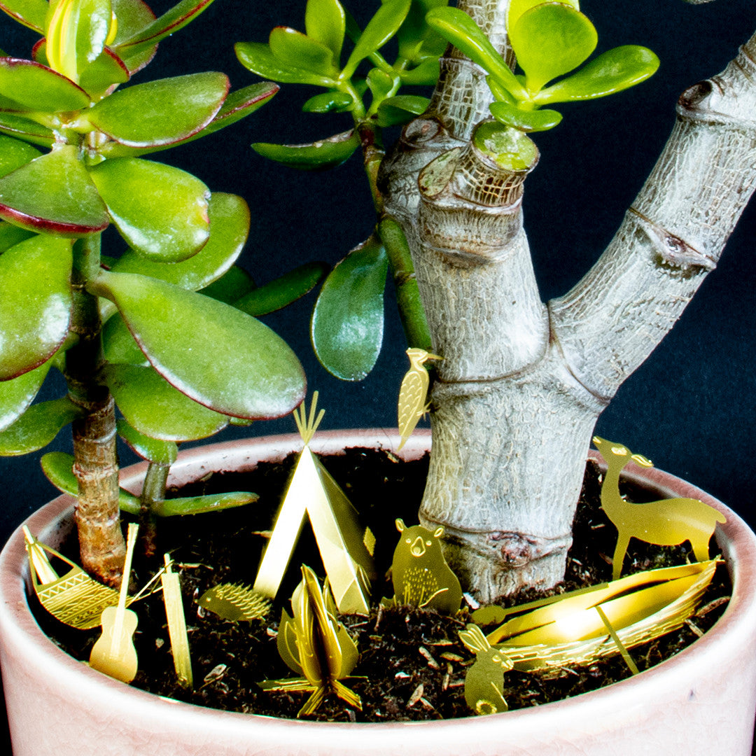 Tiny Camping for your Plant