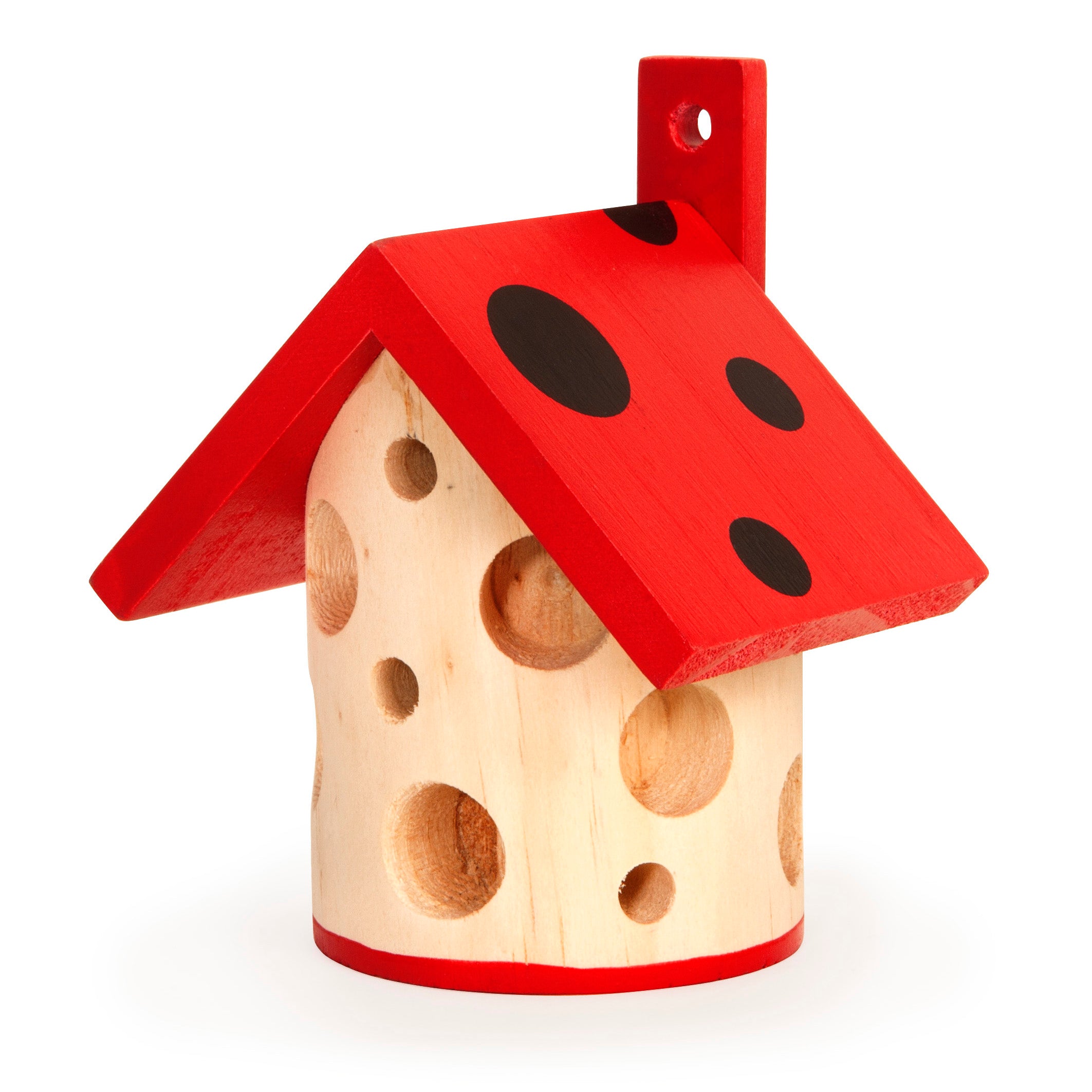 Ladybug House