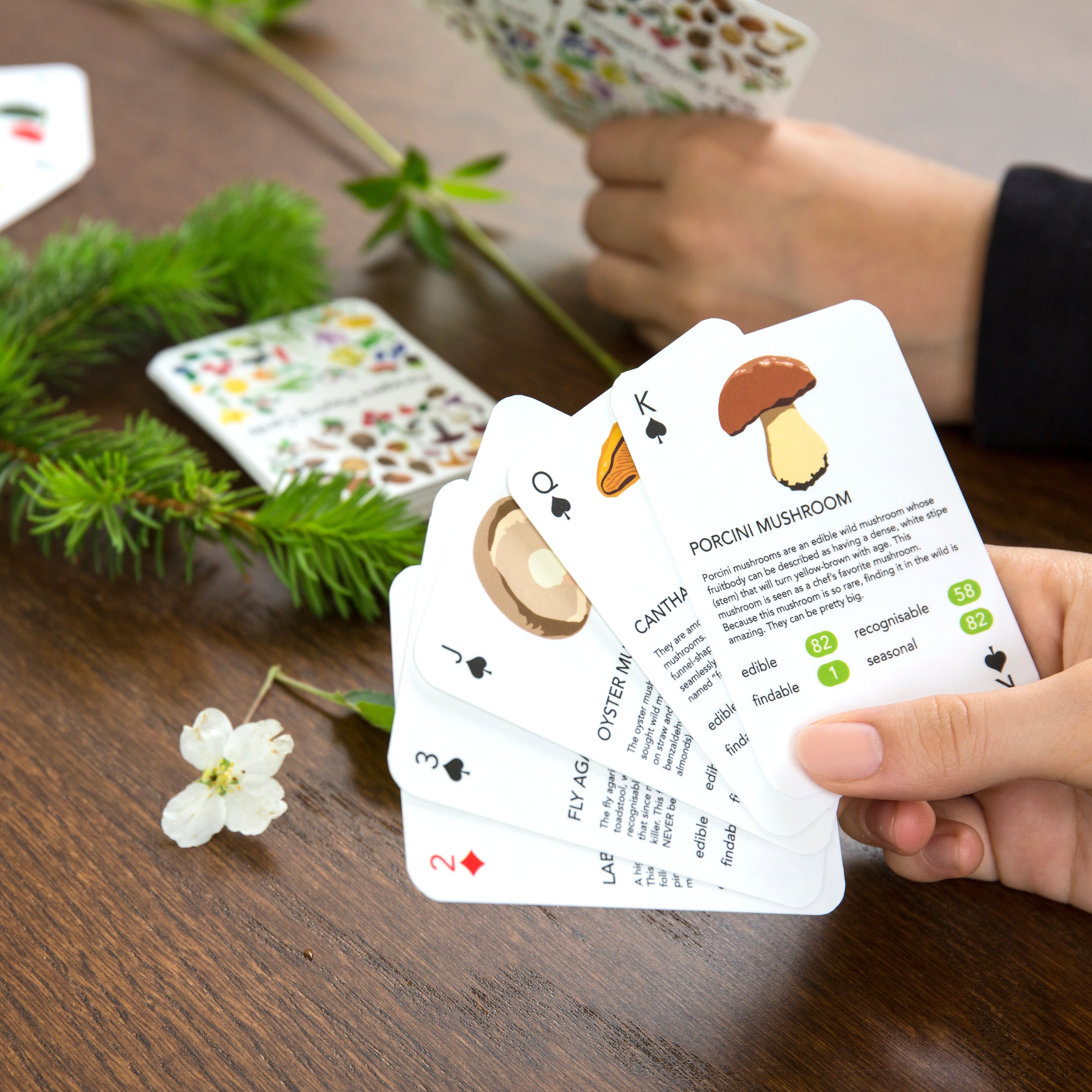 Playing Cards Foragers