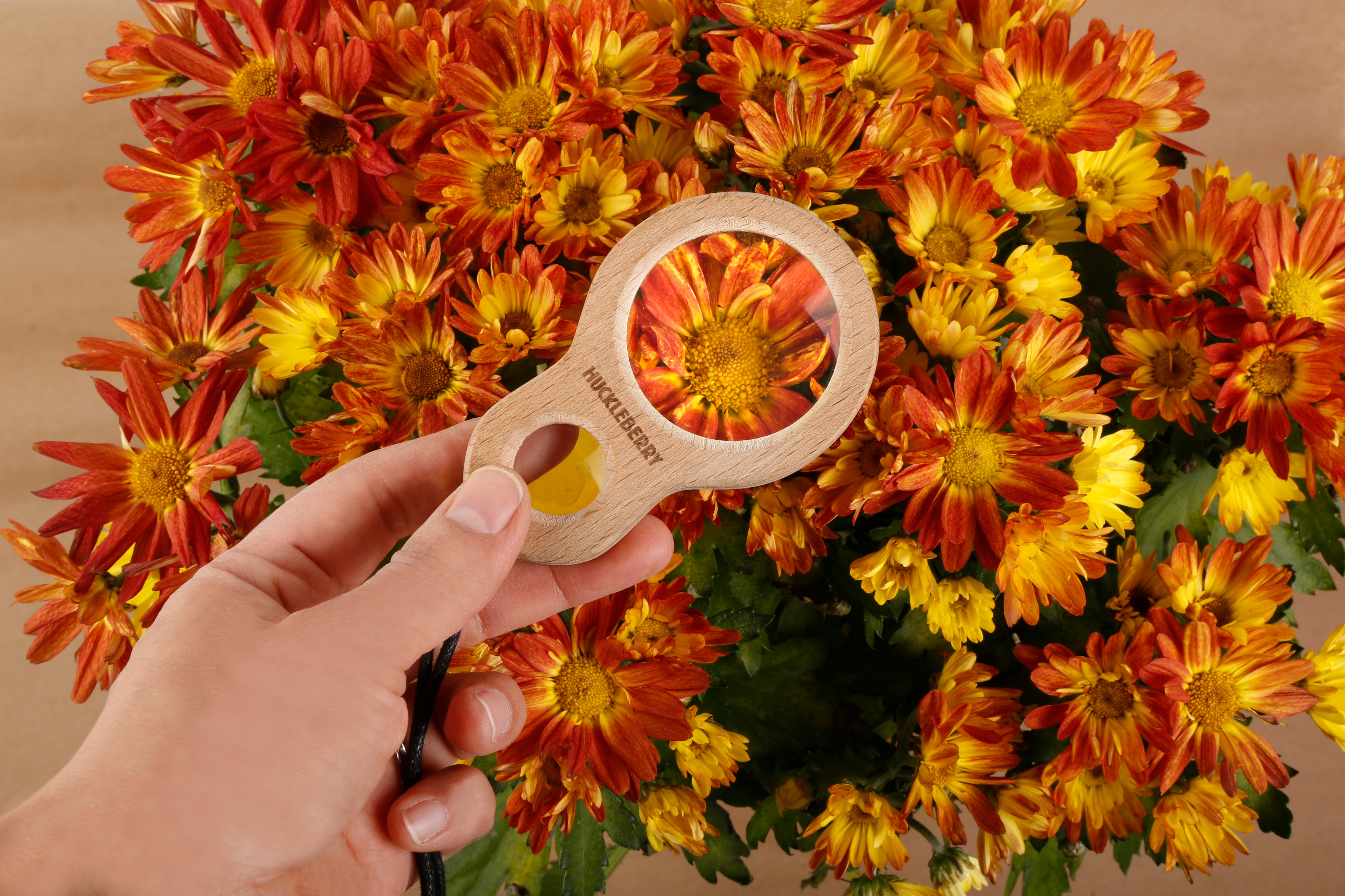 Huckleberry Dual Magnifier