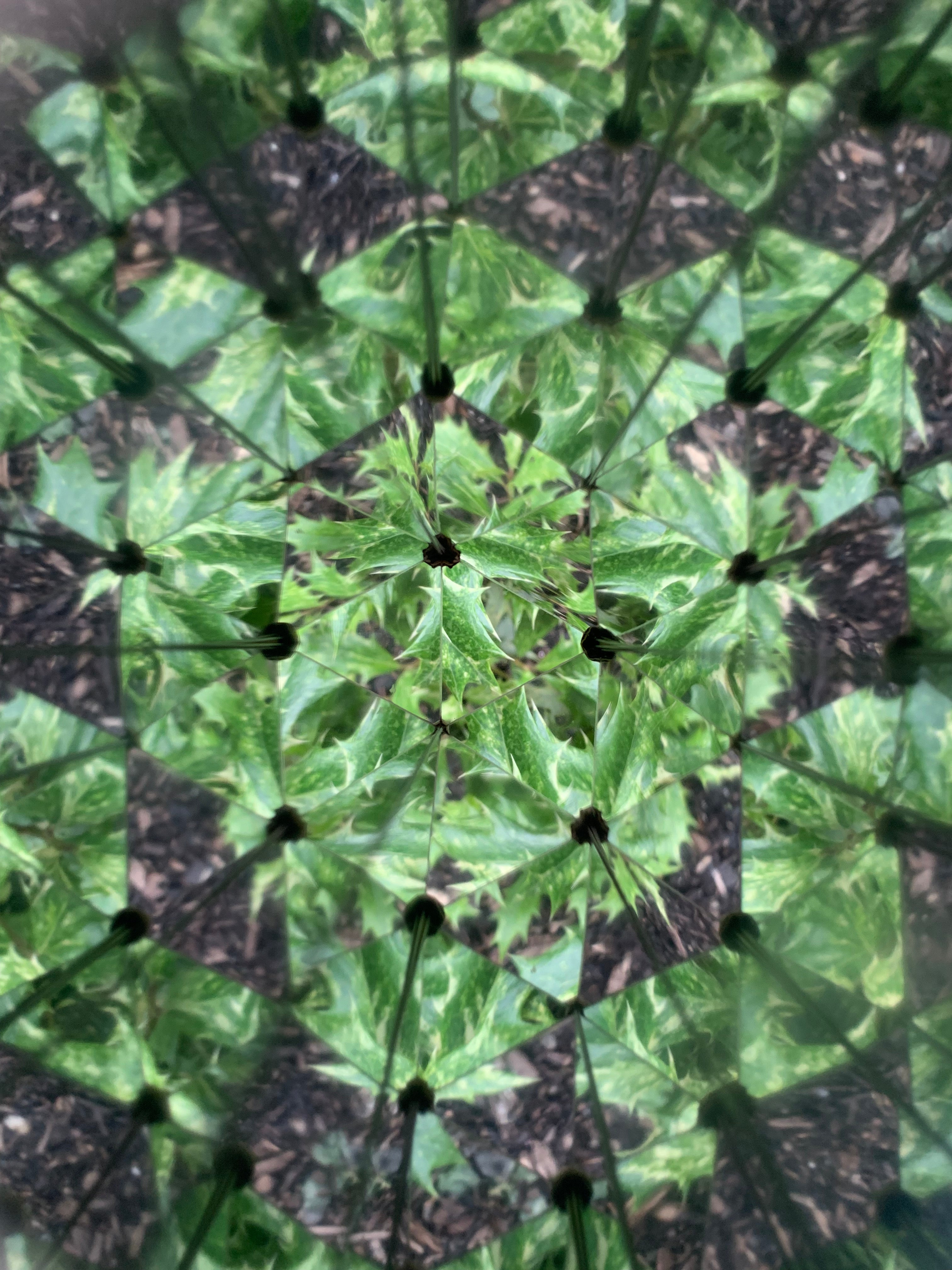 Huckleberry Kaleidoscope
