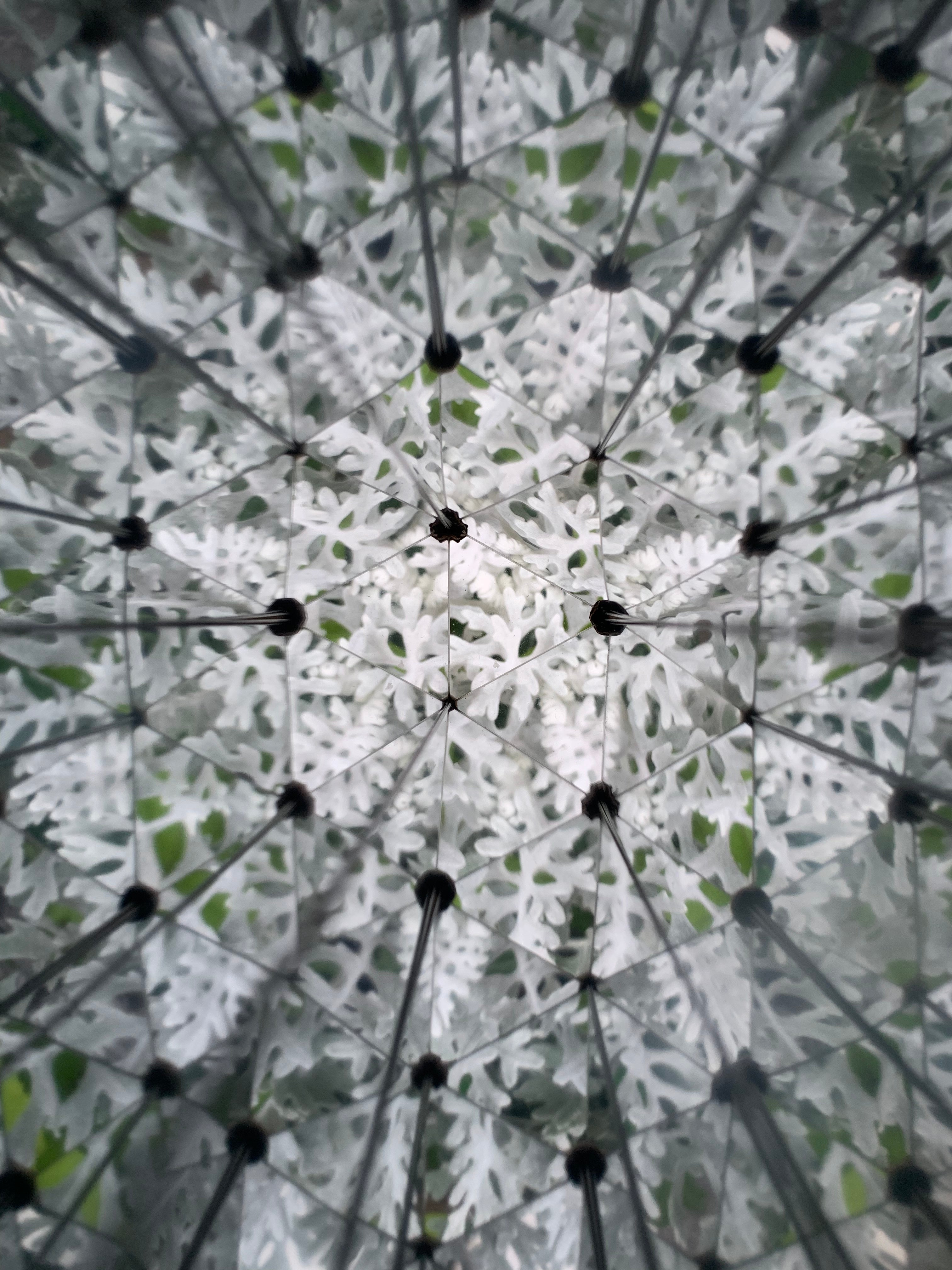 Huckleberry Kaleidoscope