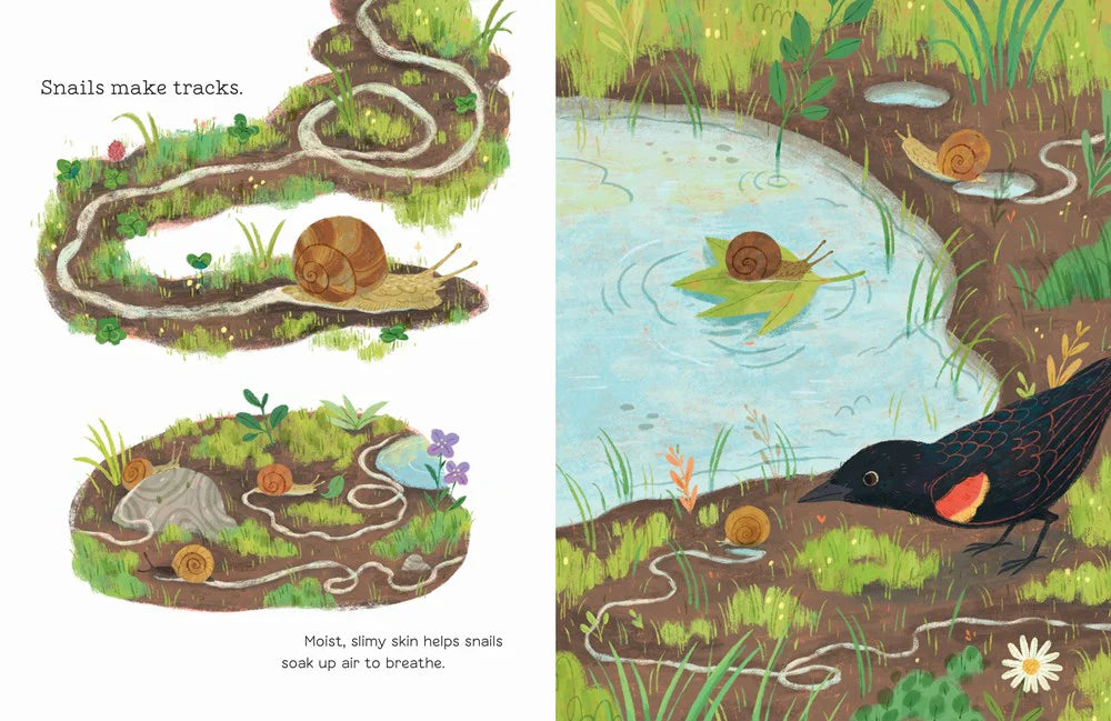 Hello, Puddle!