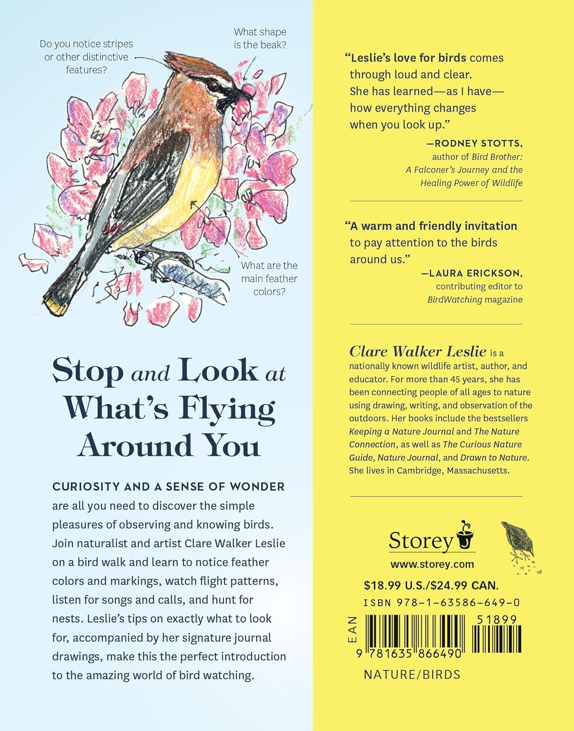 How to Look at a Bird: Open Your Eyes to the Joy of Watching and Knowing Birds