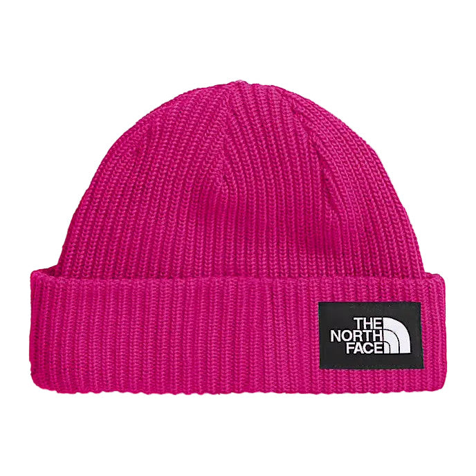 Kids Lined The North Face Salty Beanie | The North Face #color_pink