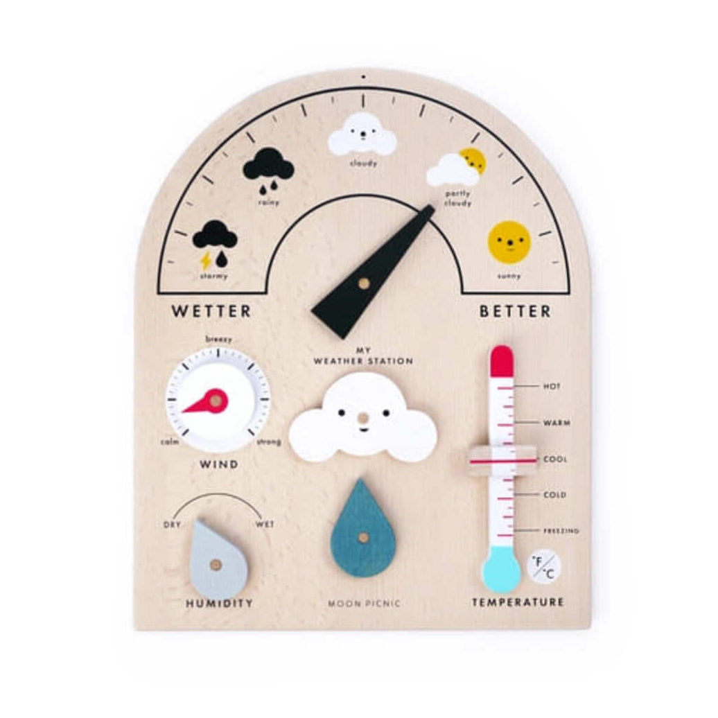 My Weather Station Educational Interactive Toy