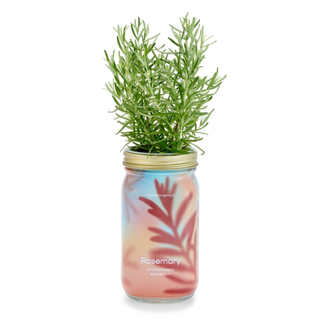 Modern Sprout Herb Garden Jar #color_rosemary