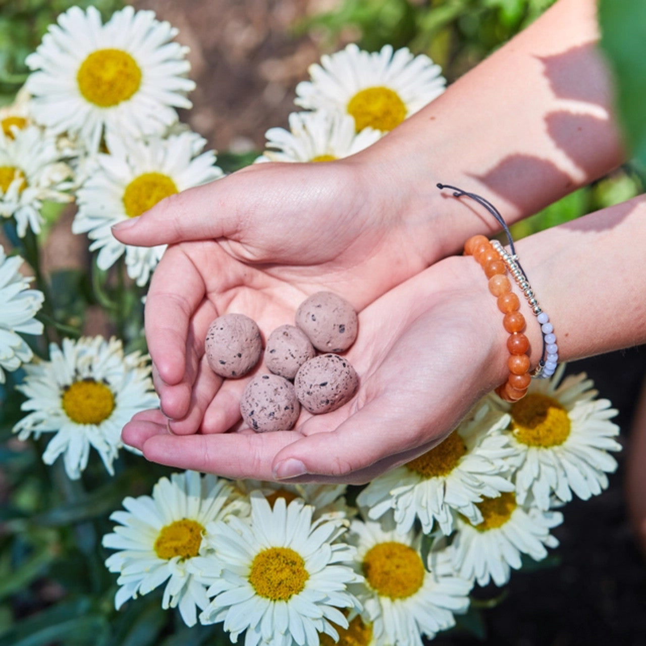 Modern Sprout Seed Balls