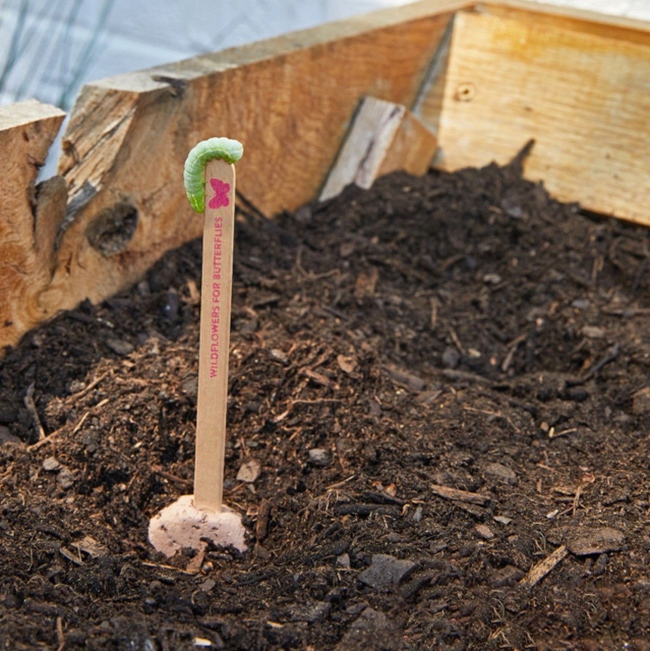 Modern Sprout Pollinator Seed Pops