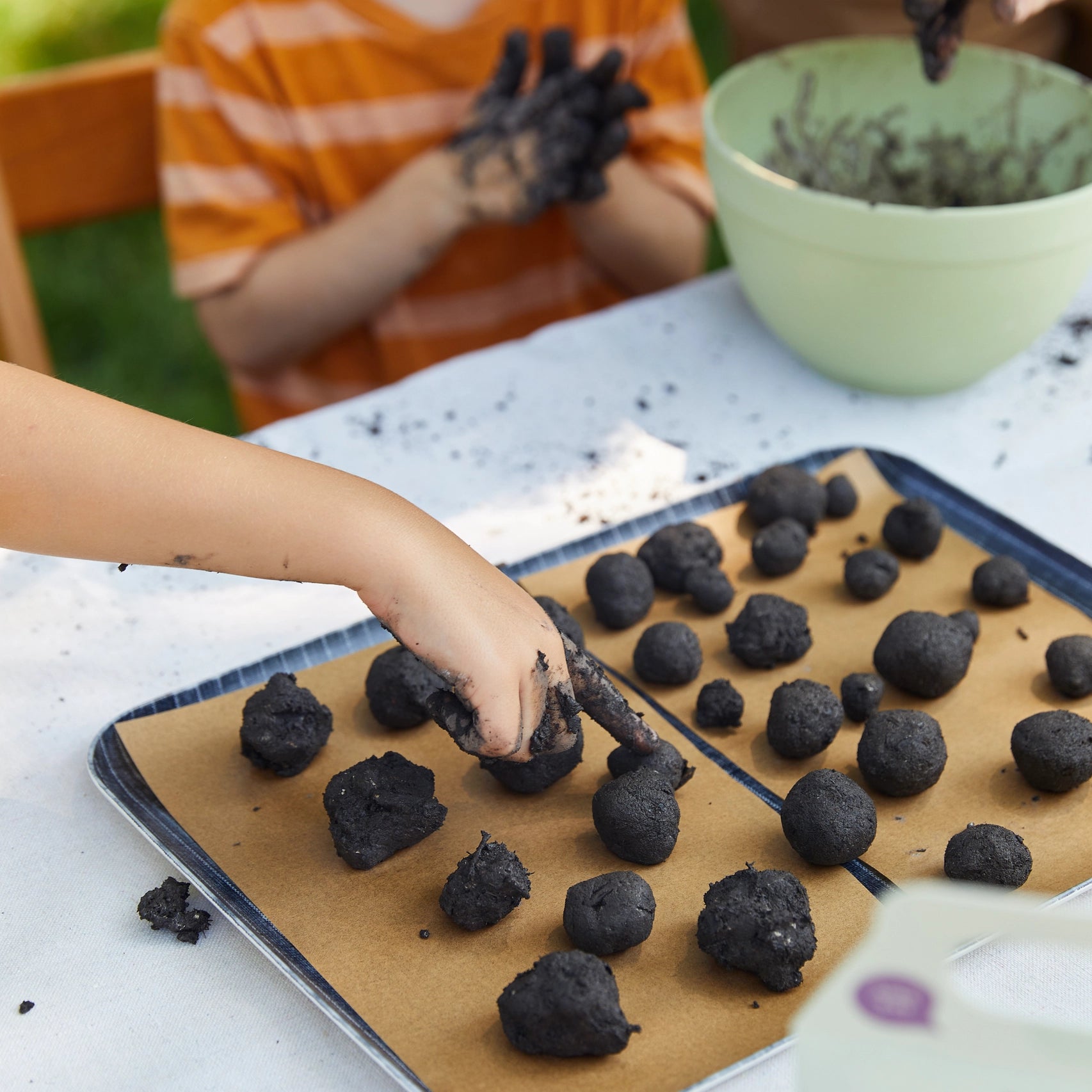 Modern Sprout DIY Seed Ball Kit