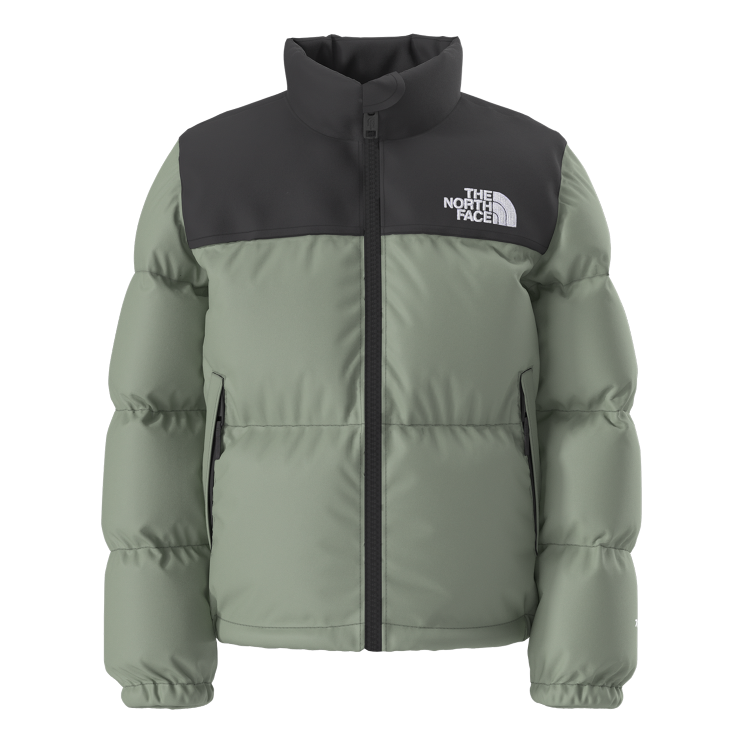 Kids 700-Fill Down Winter Jacket – The North Face 1996 Retro Nuptse_
