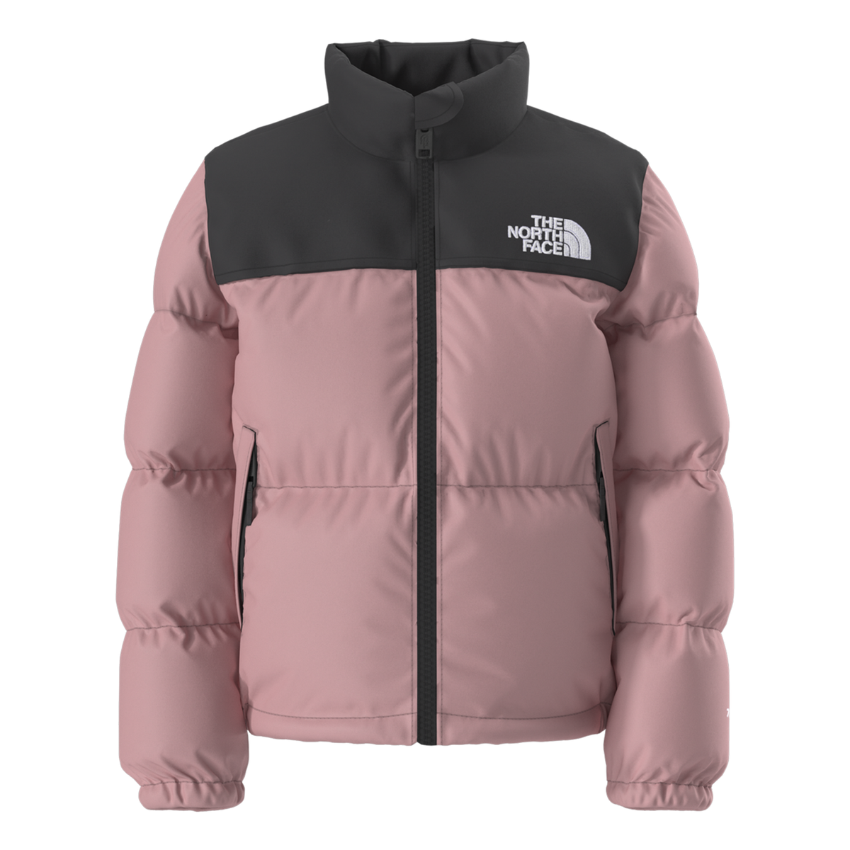 Kids 700-Fill Down Winter Jacket – The North Face 1996 Retro Nuptse_