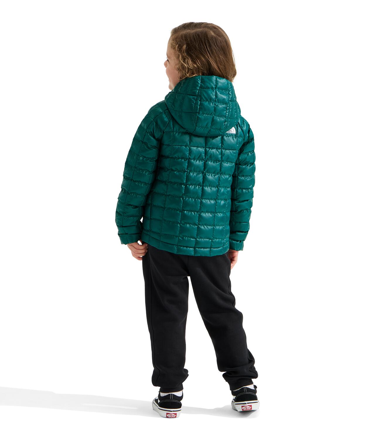 Kids The North Face Thermoball Hooded Jacket | The North Face