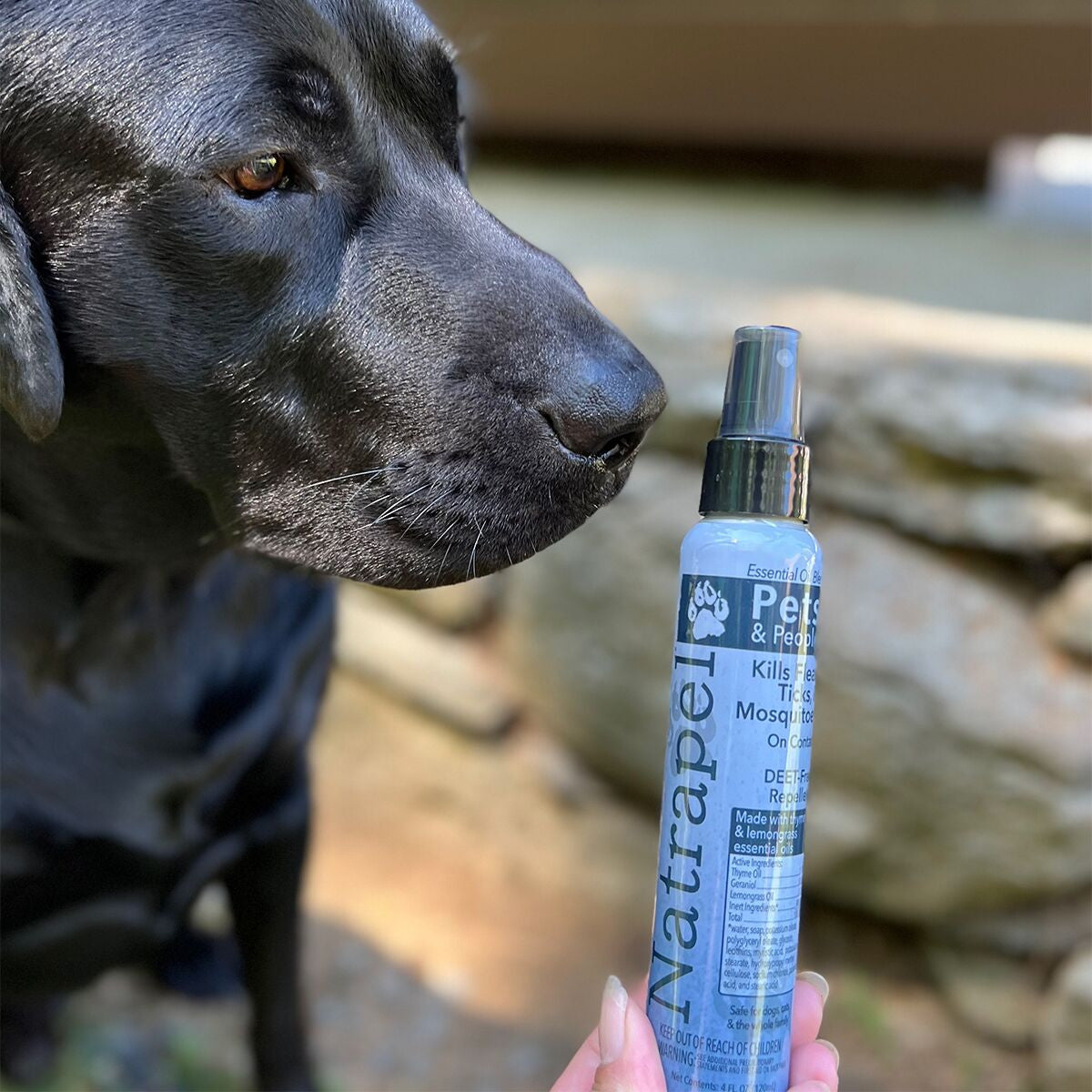 Essential Oil Insect Repellent for Pets and People | Natrapel