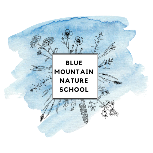 Blue Mountain Nature School