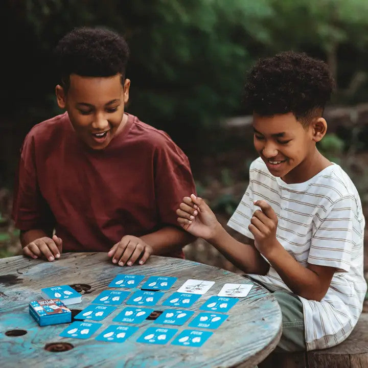 Wild Memory card game