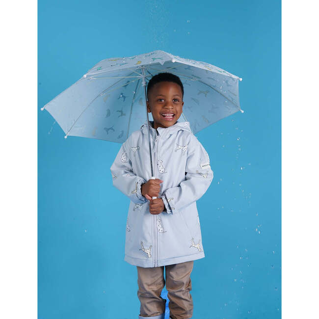 Color Changing Rain Coat