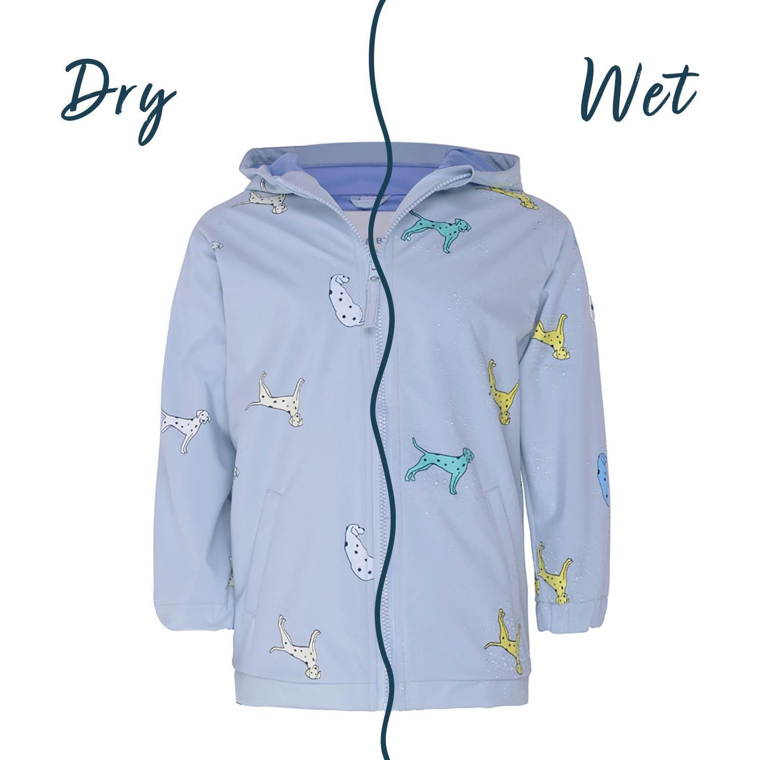 Color Changing Rain Coat