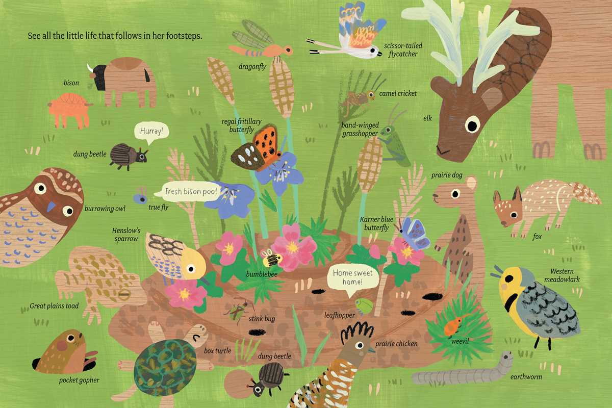 Poo Pile on the Prairie by Amy Hevron