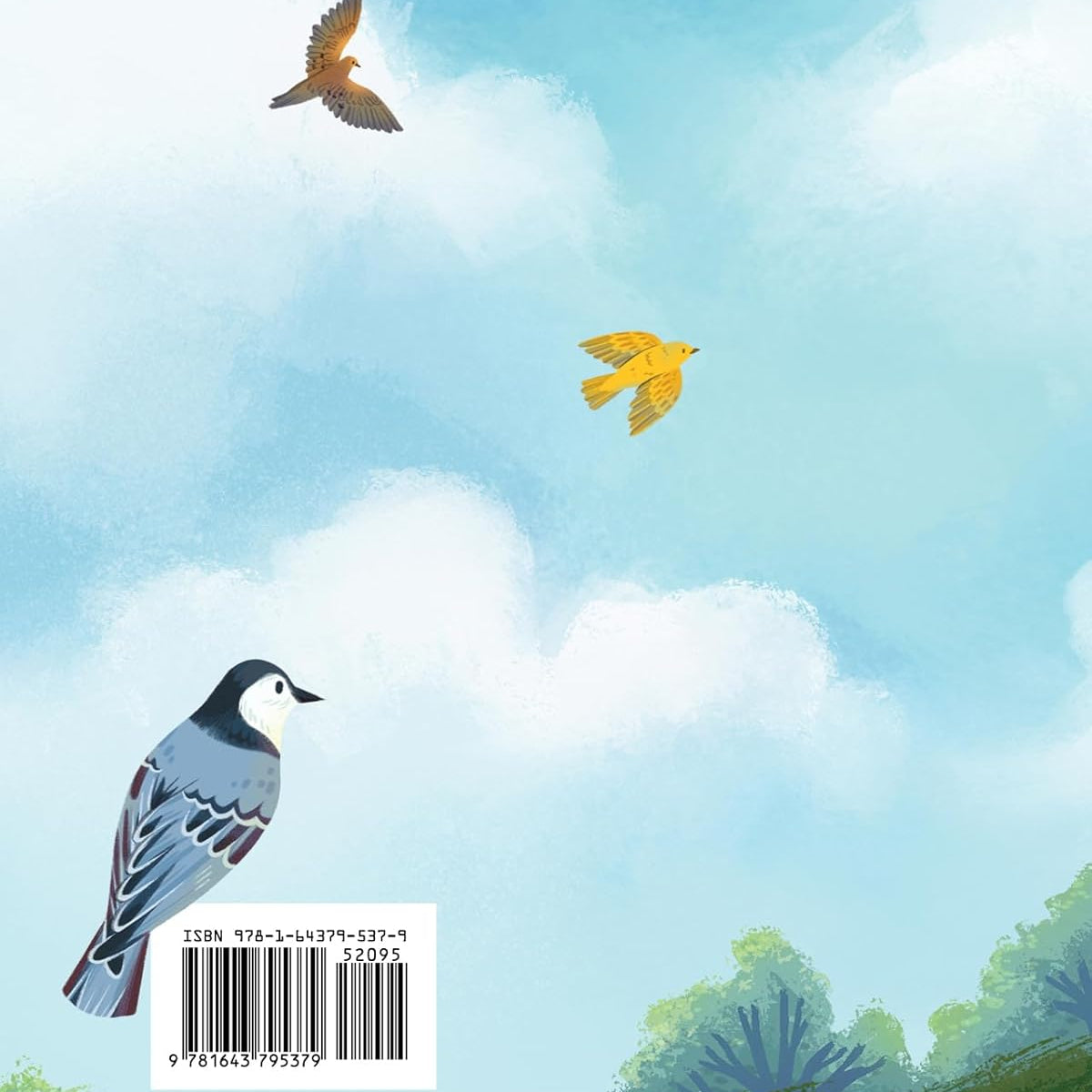 The Sky That Sings Nature Picture Book