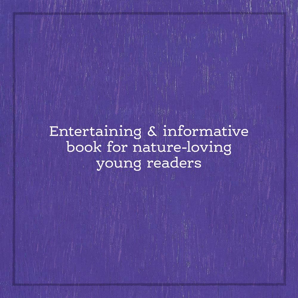Safe Crossing – Wildlife & Nature Picture Book for Kids