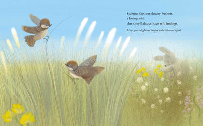 Kids Summer Solstice Picture Book – Summer Solstice Story – Woodland Nature Tale