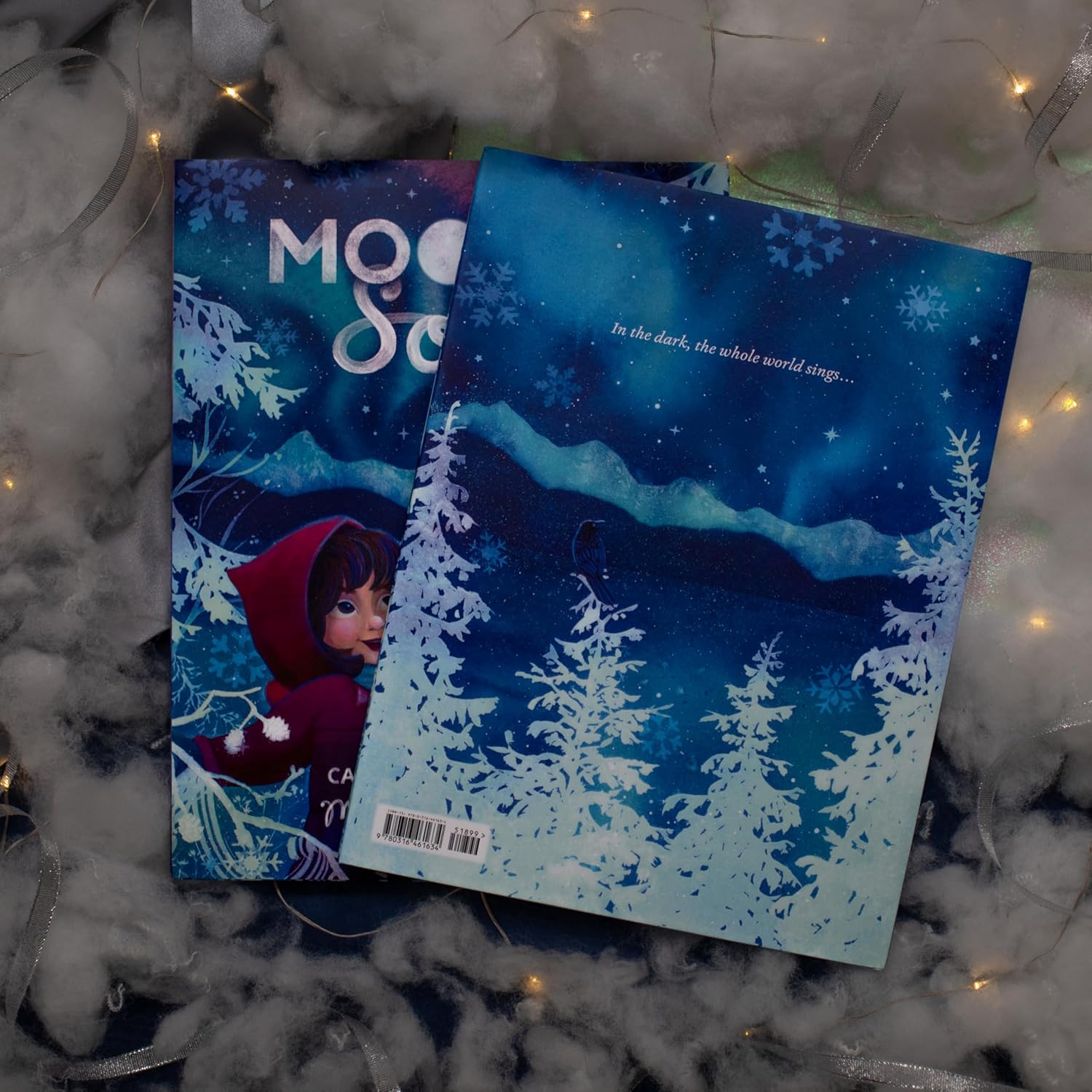 Two books with winter-themed covers on a snowy surface with lights.