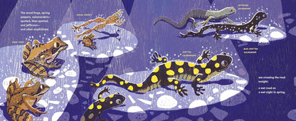 Safe Crossing – Wildlife & Nature Picture Book for Kids