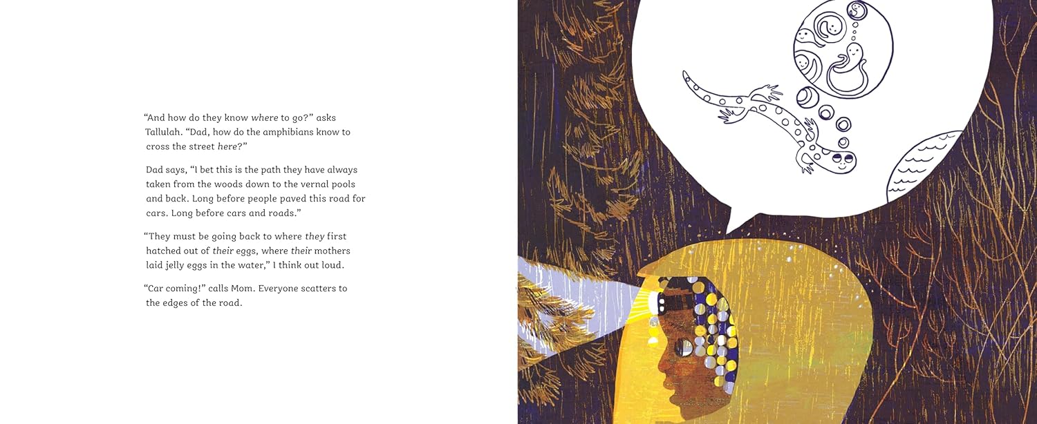 Safe Crossing – Wildlife & Nature Picture Book for Kids