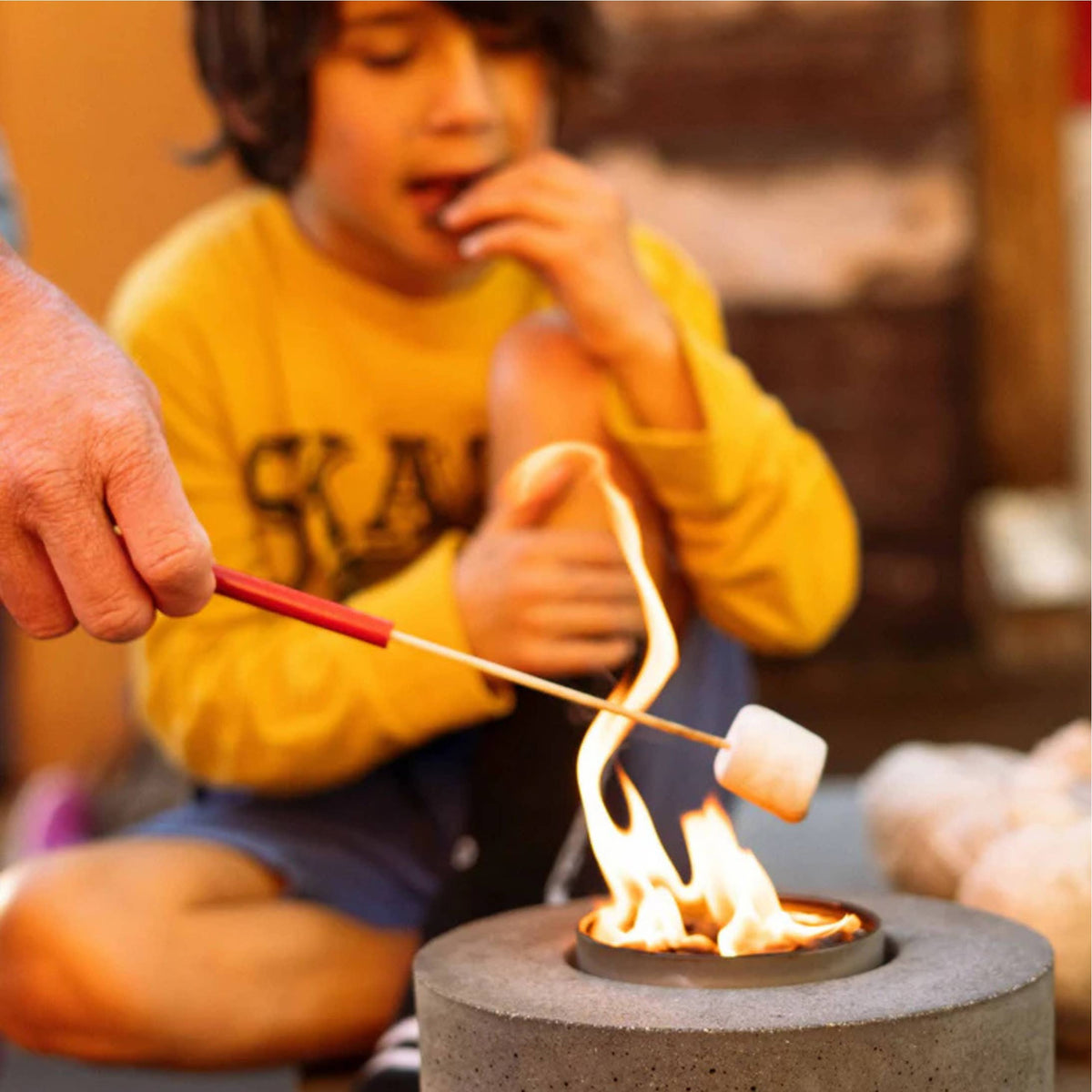 Person roasting a marshmallow over a small fire pit with a child in the background.