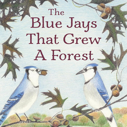 Kids Blue Jay Nature Book – The Blue Jays That Grew a Forest