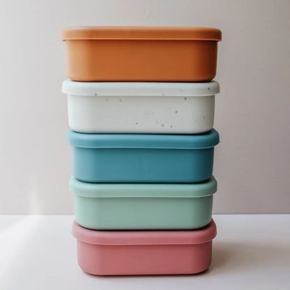 Silicone Bento Box 