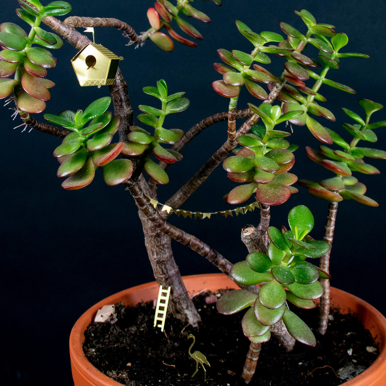 Tiny Birdhouse for your Plants