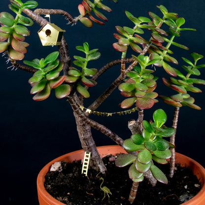 Tiny Birdhouse for your Plants
