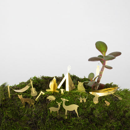 Tiny Camping for your Plant