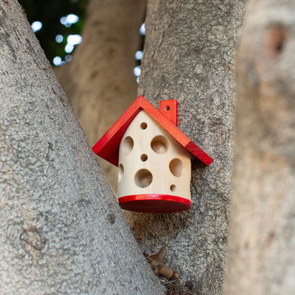 Ladybug House