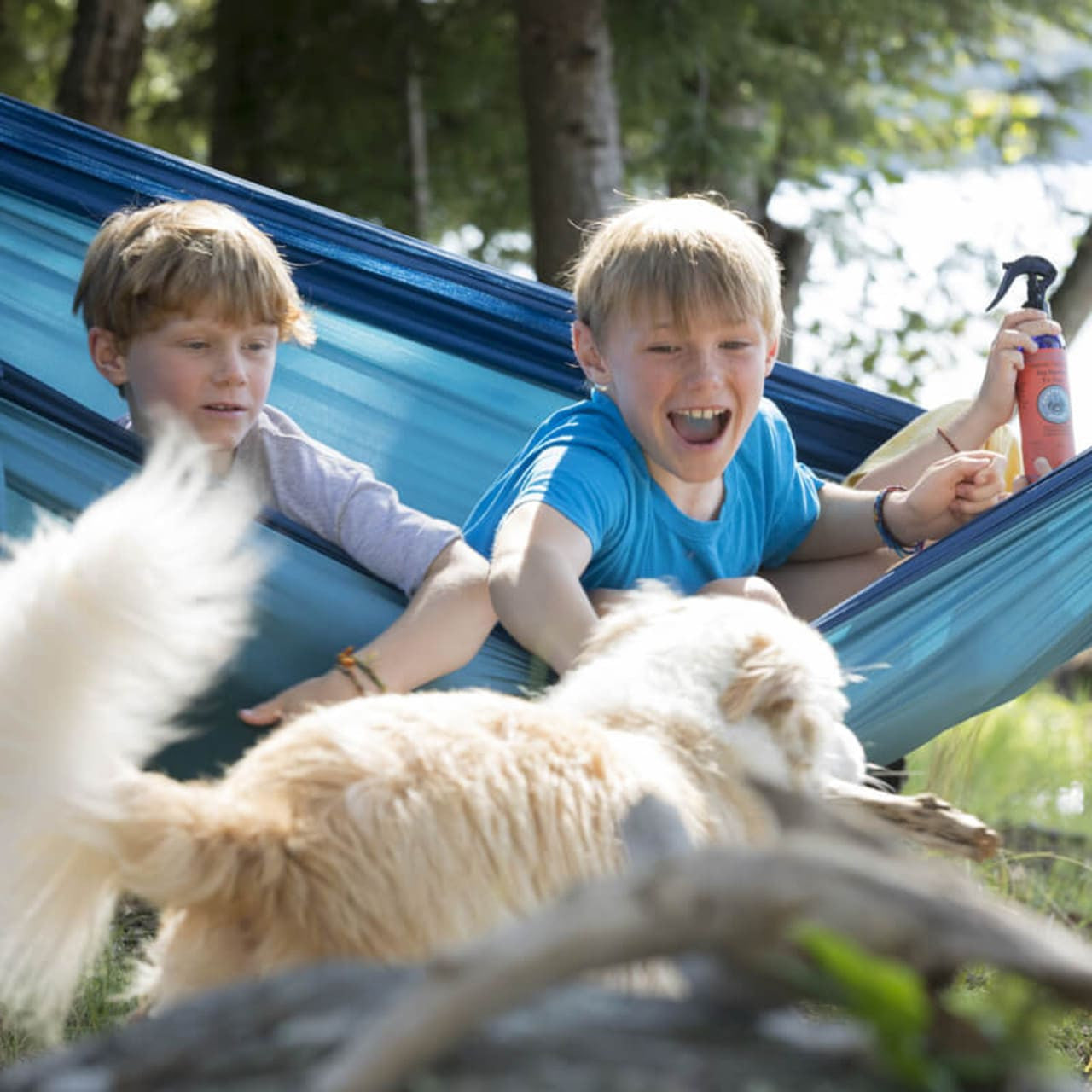 Natural Bug Repellent for Dogs Spray - Gentle yet Effective, Safe | Nantucket Spider_#size_16-oz