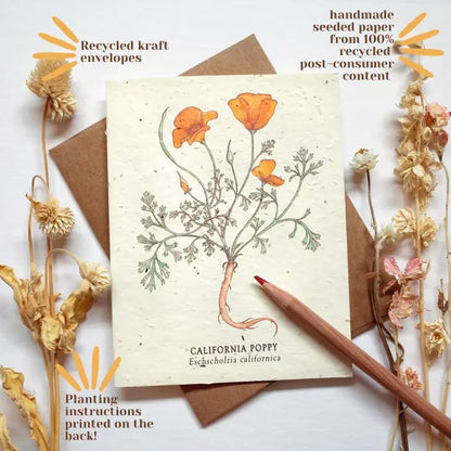 Plantable Wildflower Seed Paper Medicinal Plants Card Set