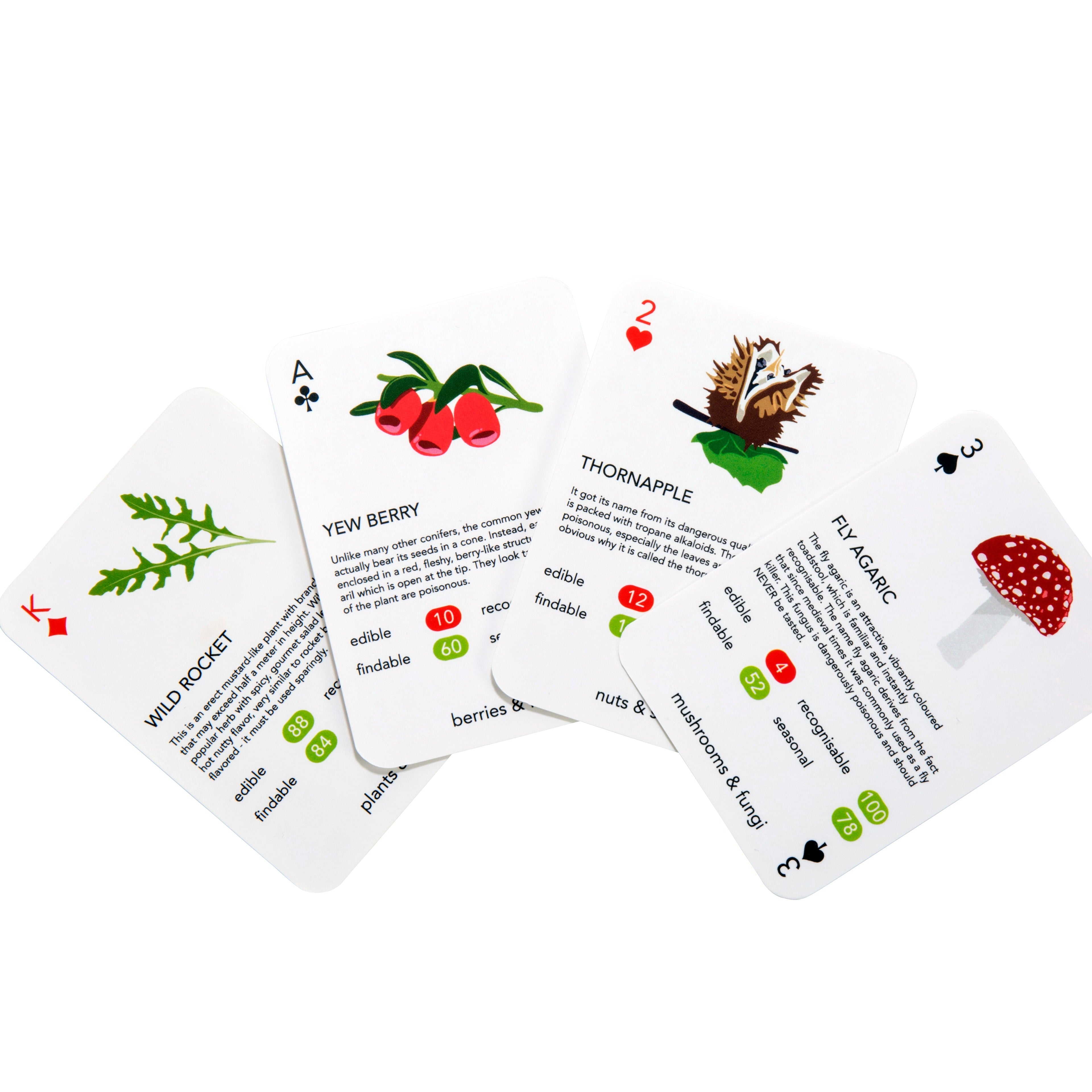 Playing Cards Foragers
