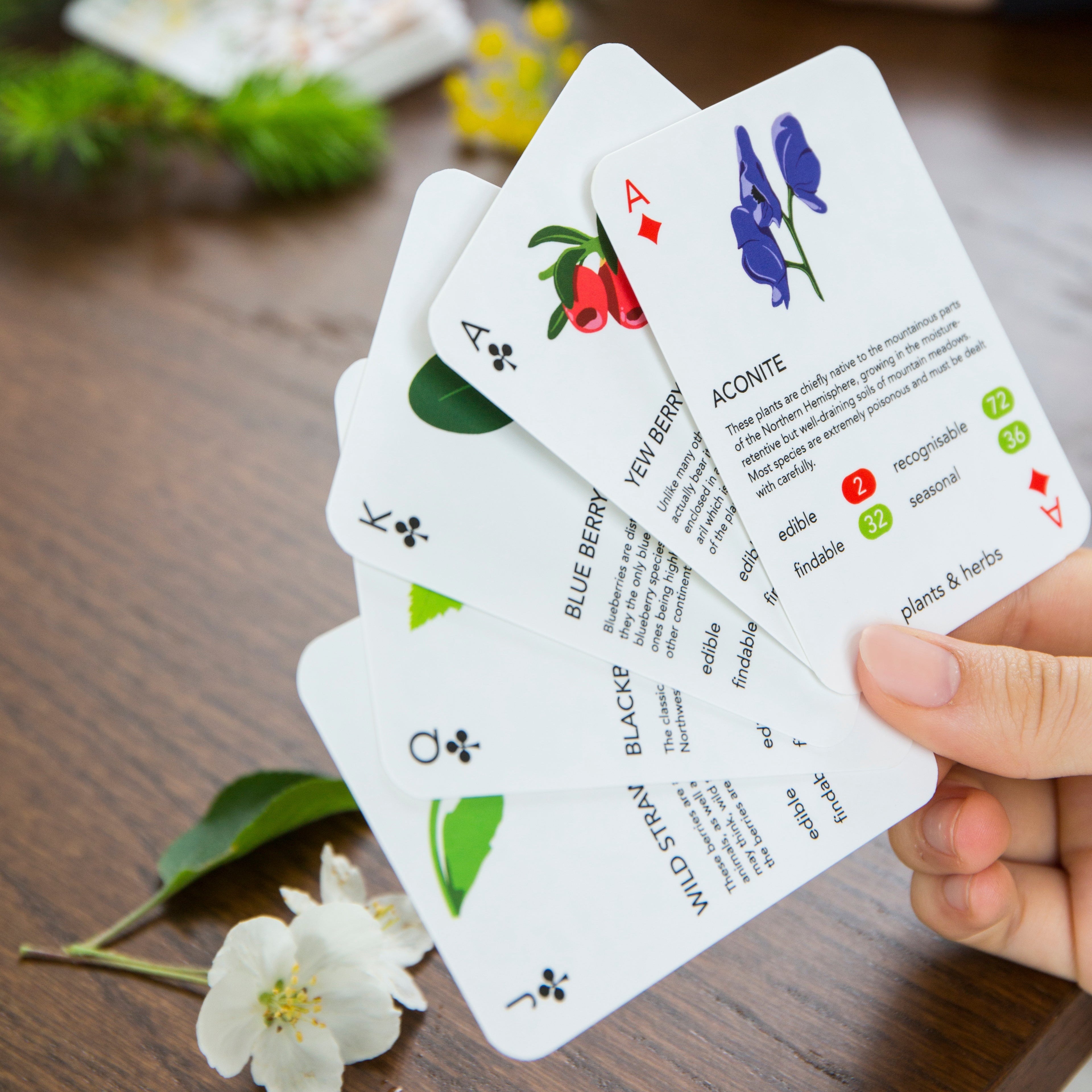 Playing Cards Foragers