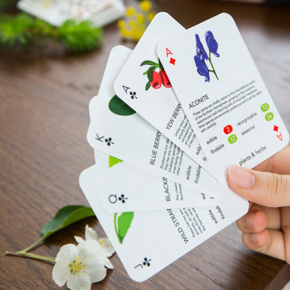 Playing Cards Foragers