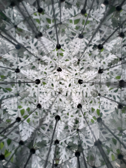 Huckleberry Kaleidoscope
