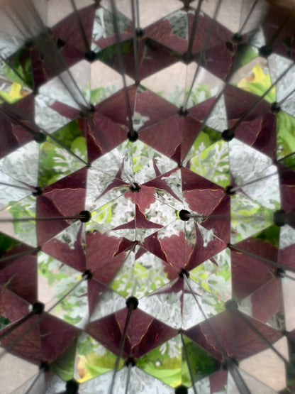 Huckleberry Kaleidoscope
