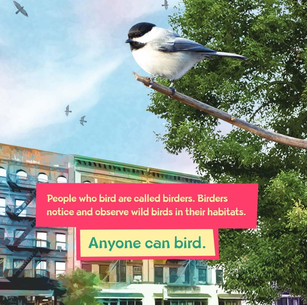 How to Bird