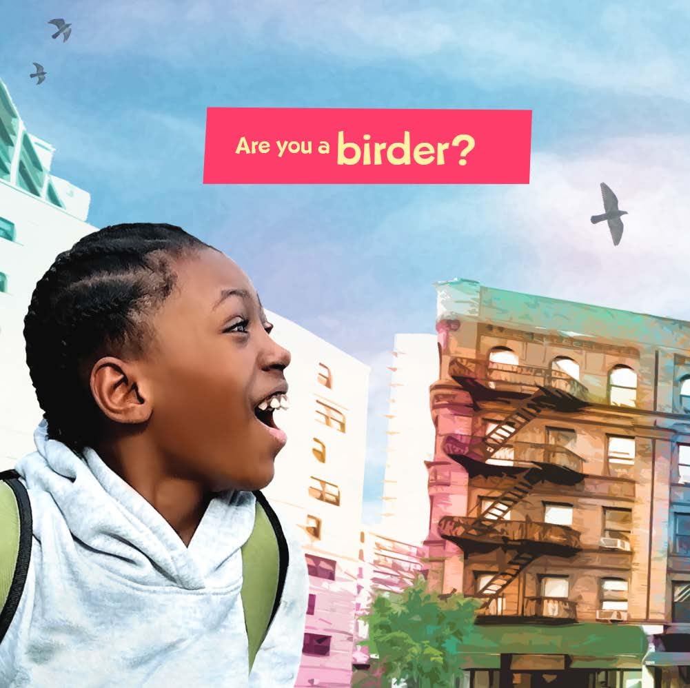 How to Bird
