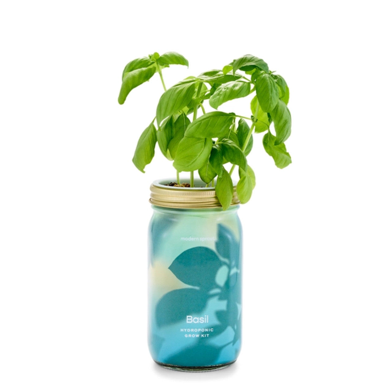 Modern Sprout Herb Garden Jar #color_basil
